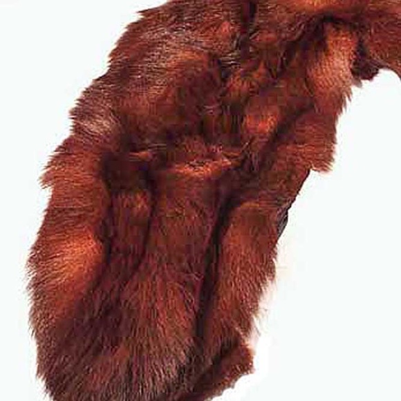 COLLAR, MUSKRAT FUR, LOOKS UNWORN, VERY THICK SOFT FUR, MEDIUM BROWN, 45 X 10 IN - Picture 4 of 7